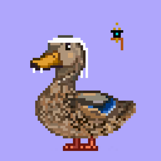 Mallard #993