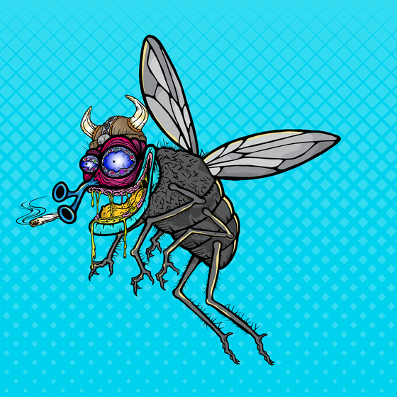 Funky Fly #2813