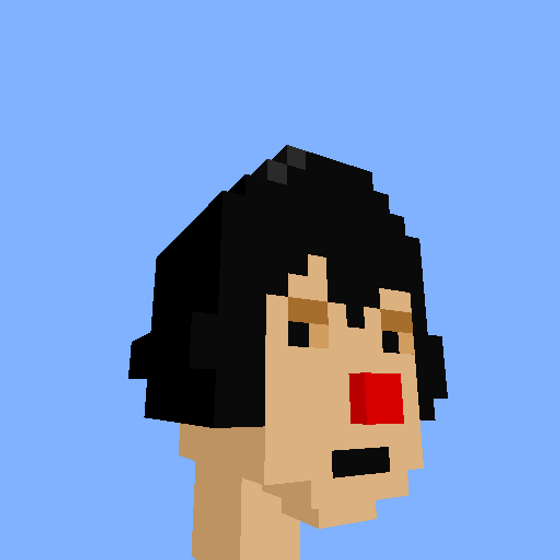 PunkVoxels #7228