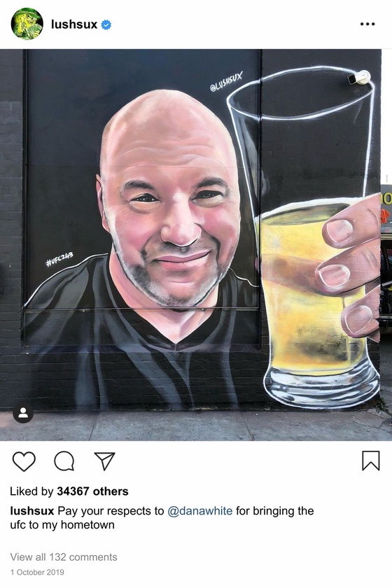 Lushsux #3621 - Mural Dana White