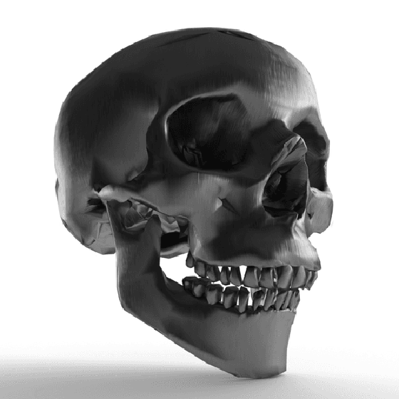 #18 OG Skull Brushed Steel