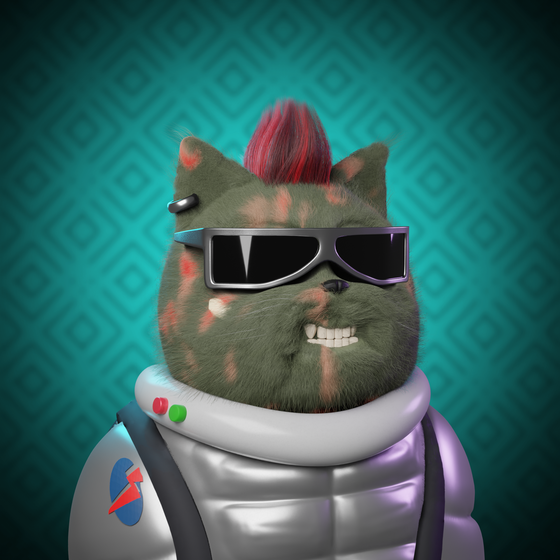 Project Cat #1710