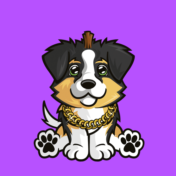 Australian Shepherd 0603