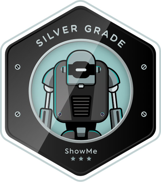 Silver Badges