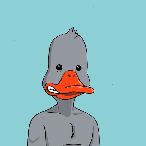 Duck #7958