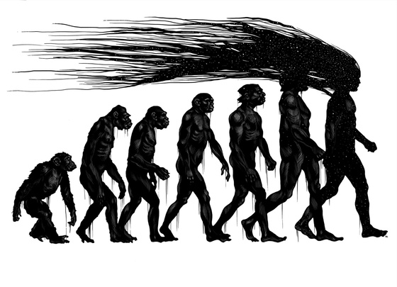 Human evolution 
