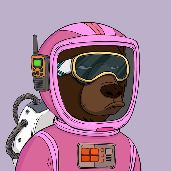 Okay Space Bear #1733