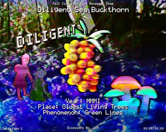 #139 | Diligent Sea Buckthorn