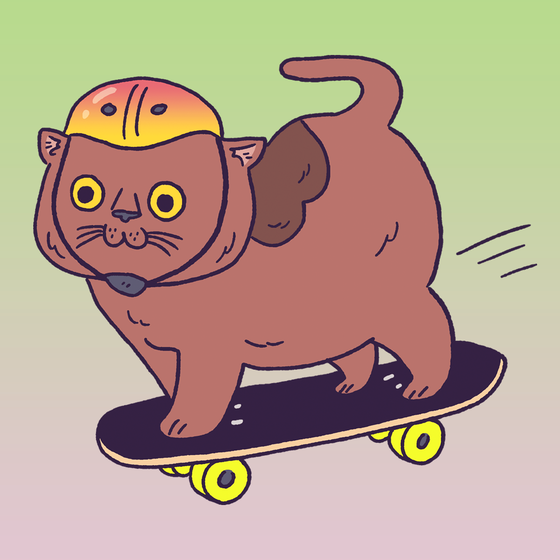 Skate Cat #1484