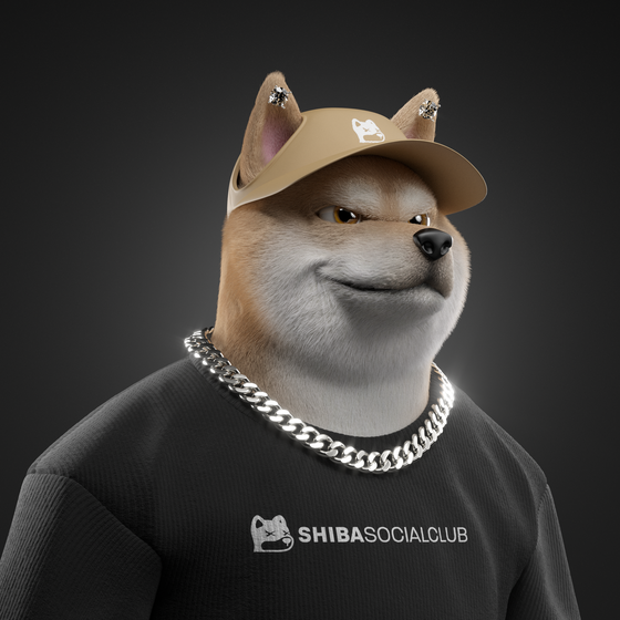 Shiba #6211