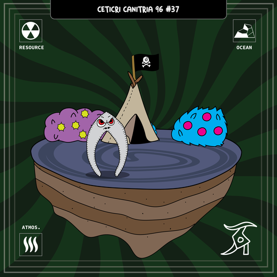 Ceticri Canitria 96 (Parcel #37)