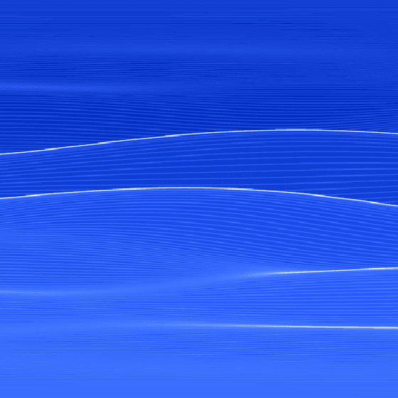Fluctuation 1065