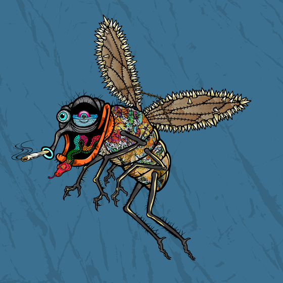 Funky Fly #5151