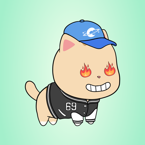 Chubbicat #4950