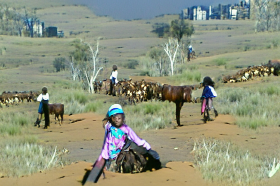 My mother mustering cattle on horse back as a 10 year old.