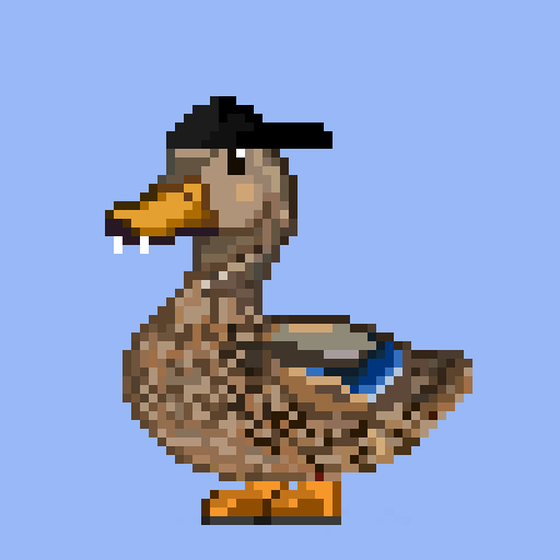 Mallard #5648