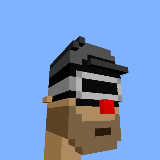 PunkVoxels #9264