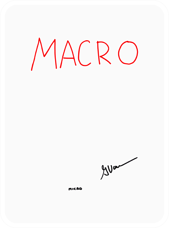 Macro Micro