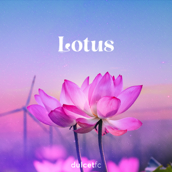 Lotus