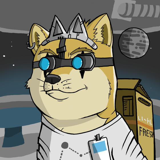 DogeX#8981