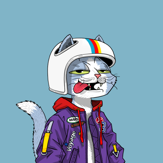 Mars Cat #4596