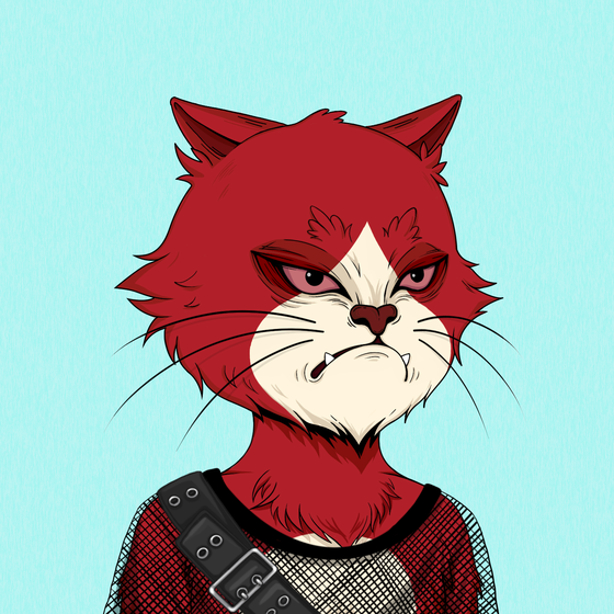 Angry Cat #9148