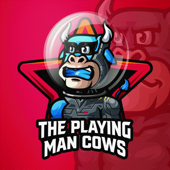 The Playing Man Cows