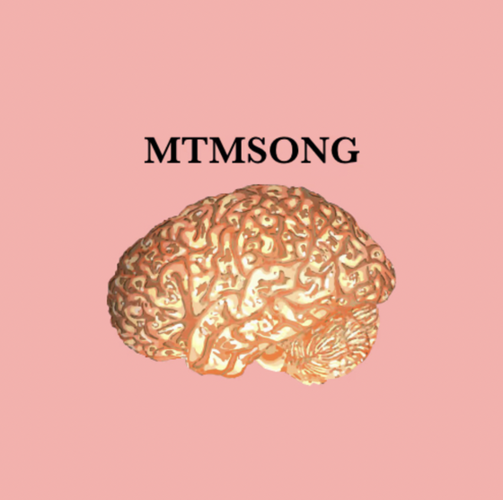 MTMSONG (2016) | MTM Series | 1/500