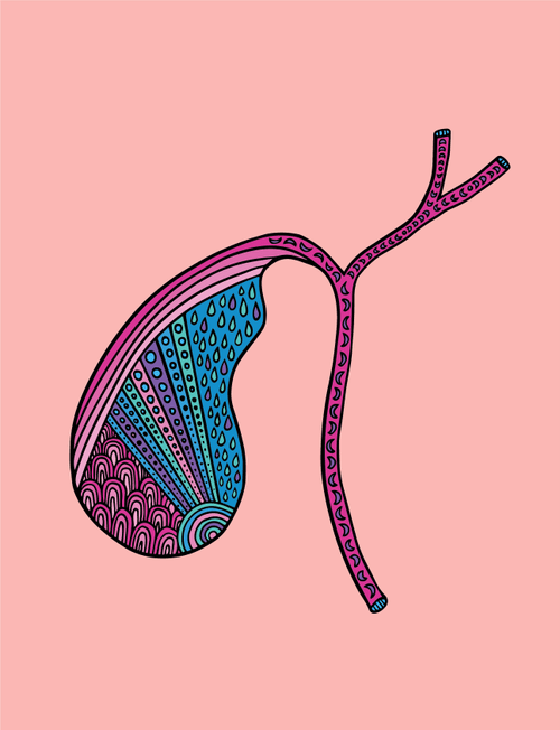 Gallbladder #70