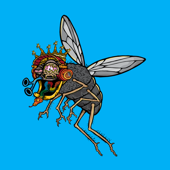 Funky Fly #17