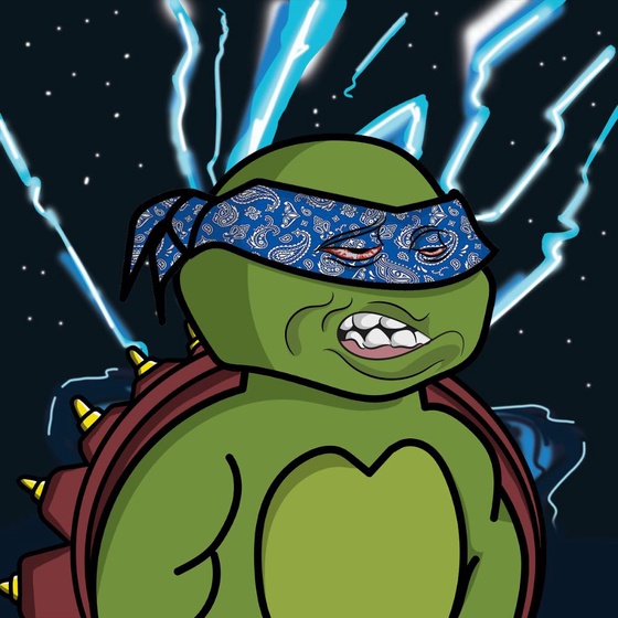 Degen Ninja Turtle #851