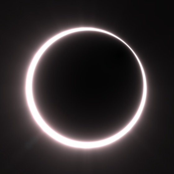 Totality #323