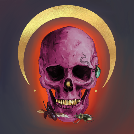 Sacred Skull #5878