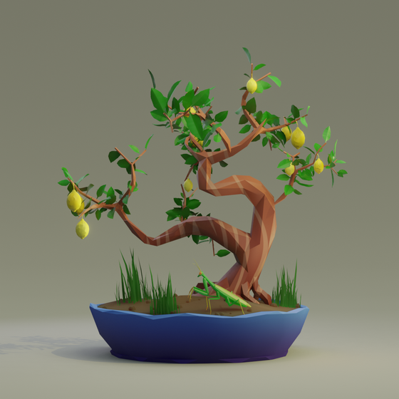 Bonsai #2797