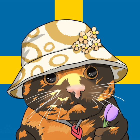 Puzzled cat 10000