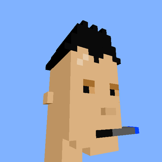 PunkVoxels #2349