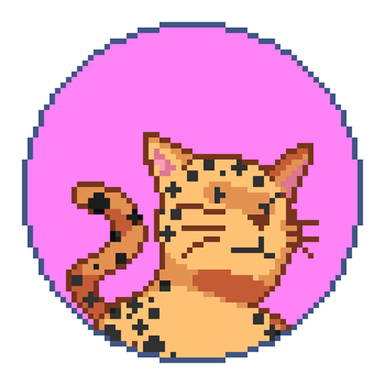 Catcoin #161