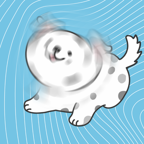 DogDrill#960