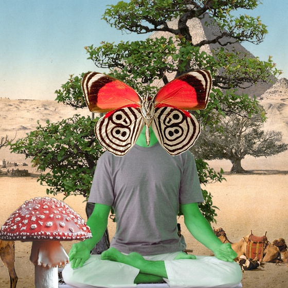Guru #252