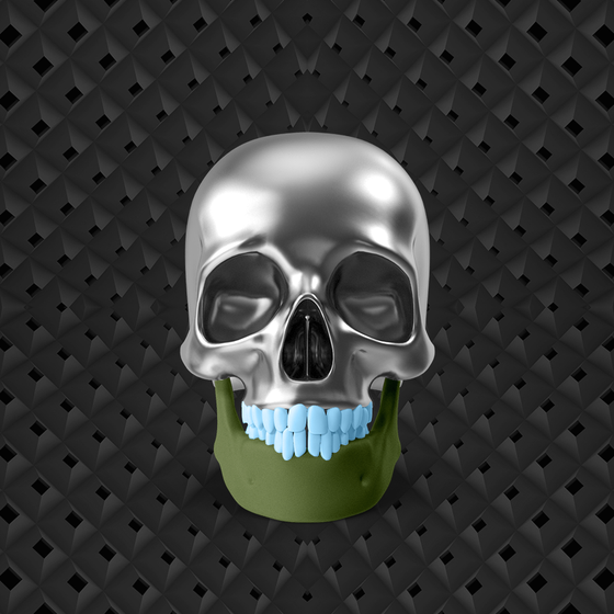 Skull #480