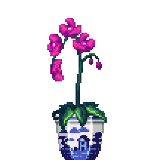 Purple Orchid in Porcelain pot