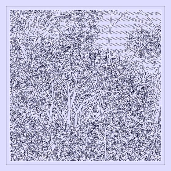 Entangled #365