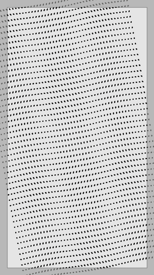Monochrome Frames #439
