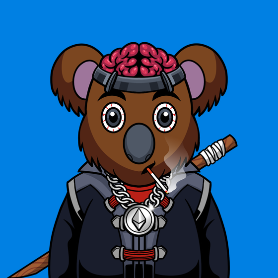 Koala #3846