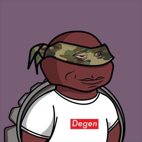 Degen Ninja Turtle #4692