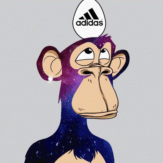 Adidas Ape #66