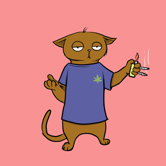 Blazed Cat #1470