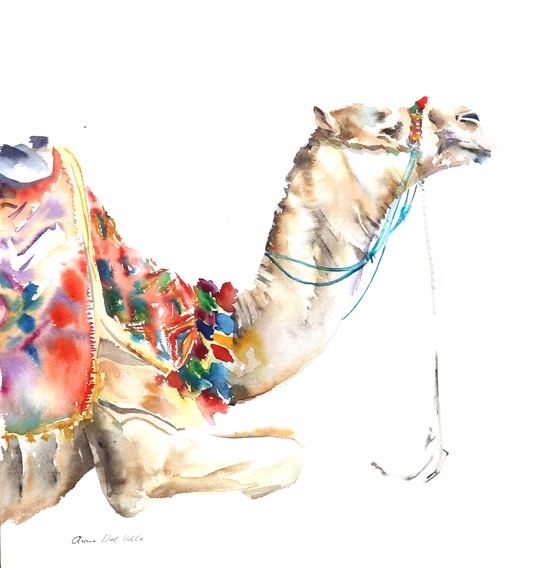 Arabian Camel