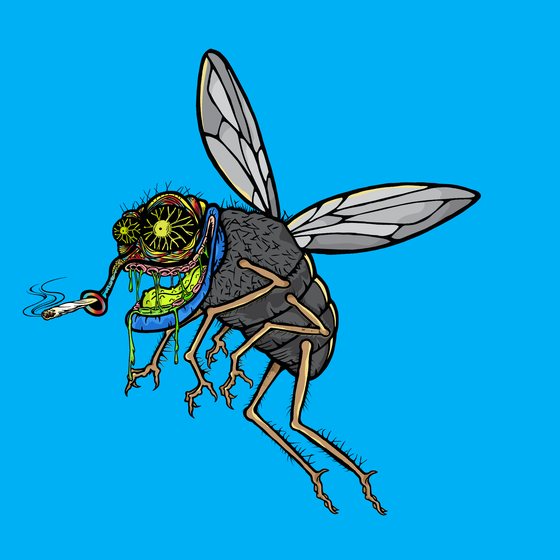 Funky Fly #849