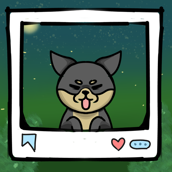 旅する犬 #810